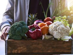 Hugo Beck - Obst & Gemüse